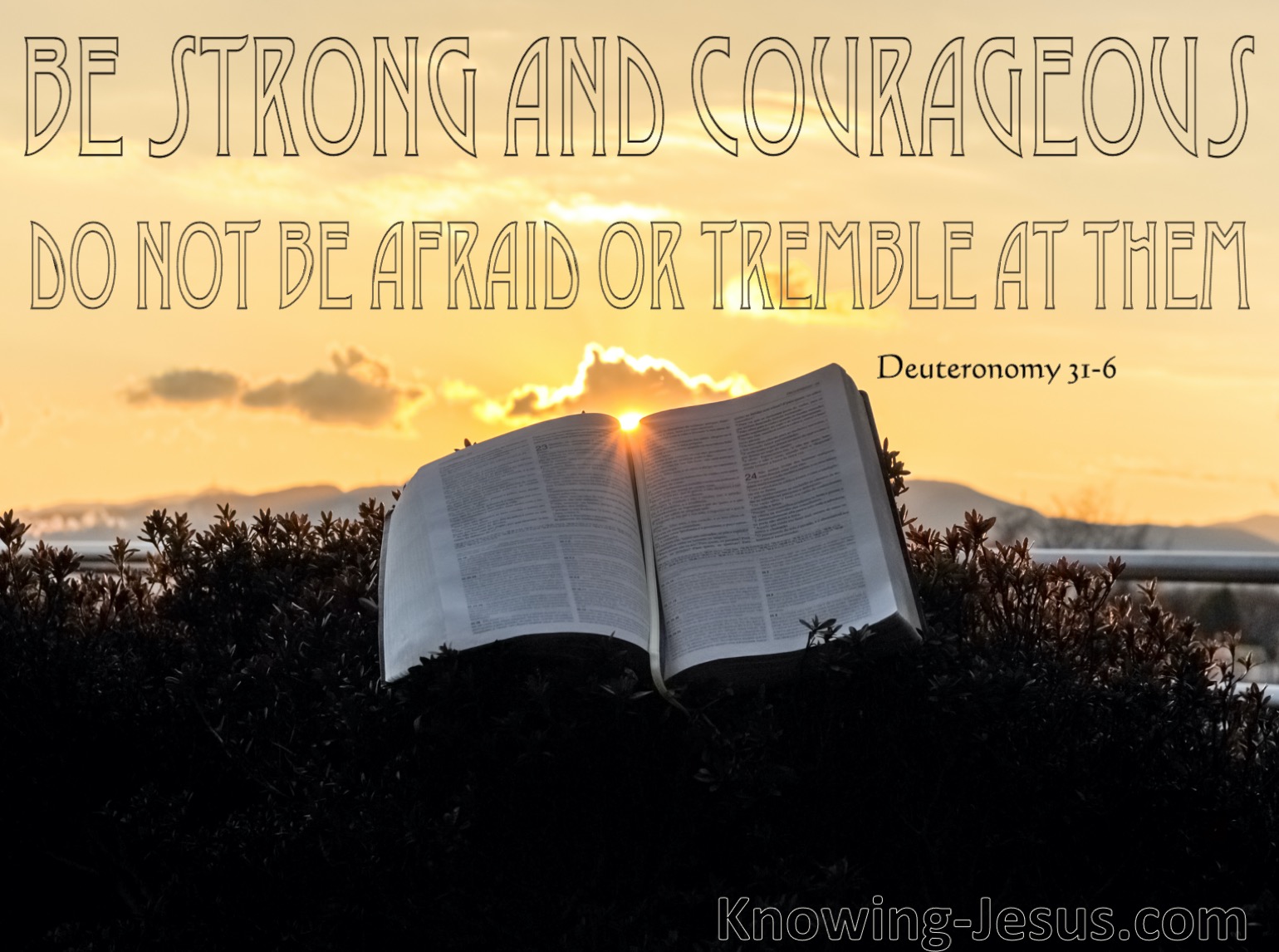 Be Strong And Courageous Verse Deuteronomy